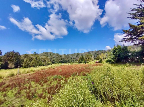 Terreno En Venta, Rancho Avándaro.