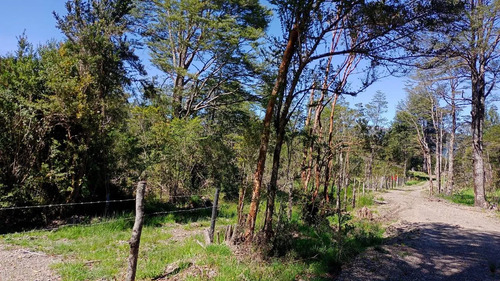Venta De Parcela Sector Bahía Acantilada (172853)