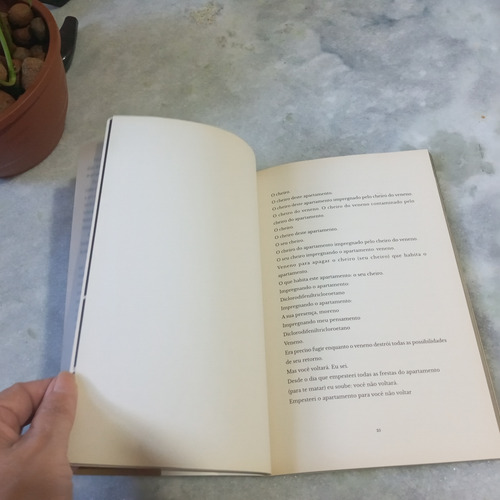 Livro: O Desmonte - Amarildo Felix (Usado)
