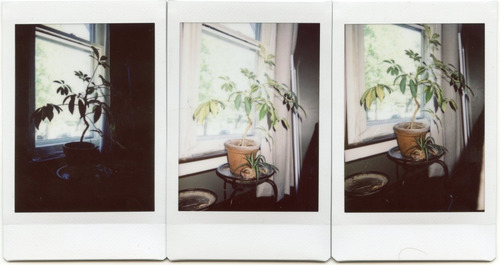 Rollo Film Fujifilm Instax Mini Marco Blanco X5 U. Entrega
