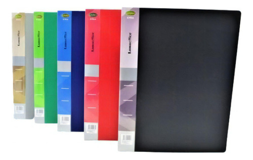 Carpeta Con Folios A4 Con 60 Folios Pvc Plasticas Colores Color Negro