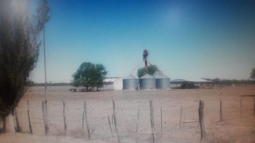 Imagen 3 de 10 de Terreno Campo En Venta Ubicado En La Maruja, Rancul