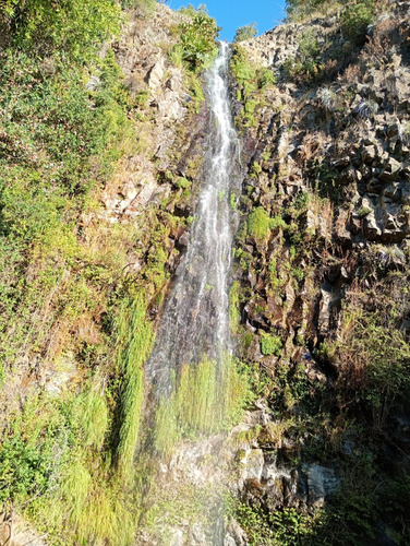 Molina, Radal Parcela De 5.000 M2 Rodeada De Bosque Nativo