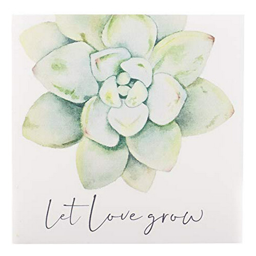 Señales - P. Graham Dunn Let Love Grow Succulent Mint Green 