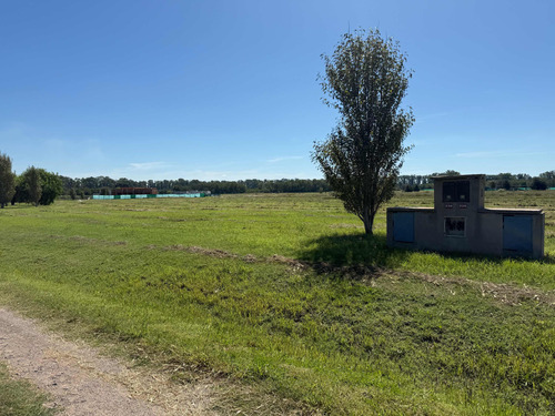 Lote 230 En Venta - Santa Inés Comarcas De Luján