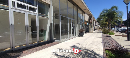 Imagen 17 de 20 de Local En Alquiler En Centro