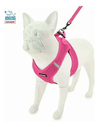 Arnes clearance pet supply
