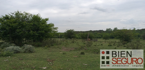 Chacra De 36,2440 Hás, Monte Nativo En Venta En Toledo Chico