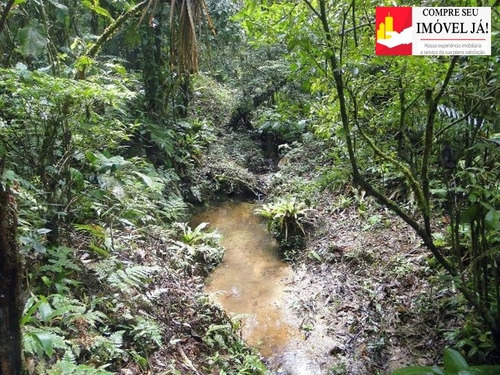 Imagem 15 de 15 de Sitio Juquitiba 121000 M² Com 4000 Pés De Eucalipto - 75