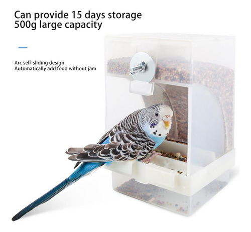Comedero Para Pájaros Transparente Y Automático Para Semilla
