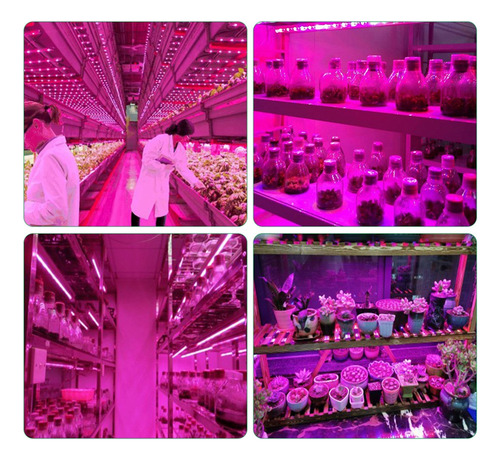Hel Tira De Luces Led De Cultivo Usb De Espectro Completo