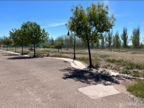 Imagen 4 de 4 de Venta Lote B° Rincon De Araoz