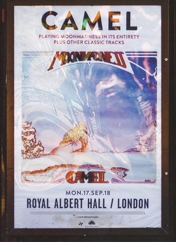 Camel  Live At The Royal Albert Hall (bluray)