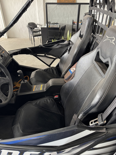 Arctic Cat 1000