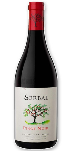 Vino Serbal Pinot Noir 750ml 