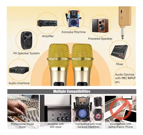 Micrófono Inalámbrico Profesional Wg100 Con Receptor Uhf