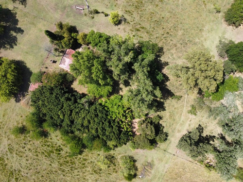 Pegado A Country Club Chacras Abbott Oportunidad Venta Campo Terreno 6 Hectareas 53738 M2 Sin Expensas Monte Buenos Aires Casa 4 Ambientes 3 Habitaciones, Baño, Cocina Comedor. Se Escucha Oferta!!!