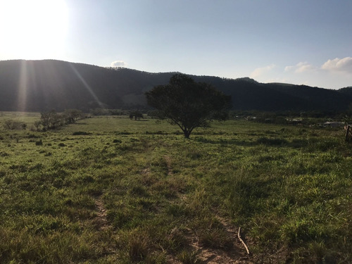 Imagem 2 de 10 de W36-lotes Com Topografia Plaina