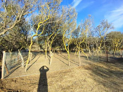 Imagen 4 de 14 de Lote De 1976,64m2 - Bosquecito De Melany
