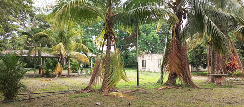 Imagen 2 de 10 de Venta De Granja En Torunos