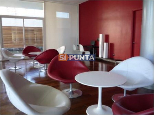 Imagen 20 de 30 de Pent House En Torre De Categoría