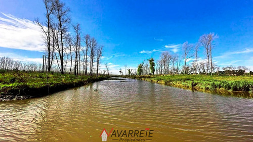 Lotes Con Amarras En Venta Barrio Náutico Albardon Escobar