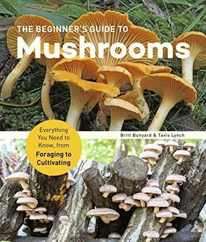 The Beginner's Guide To Mushrooms: Everything You Need To Kn