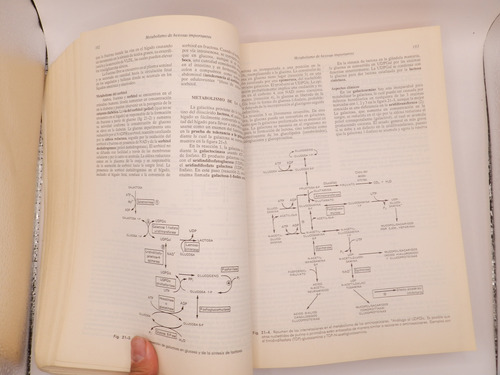 Bioquímica De Harper 11° Ed. Robert K. Murray - Español (Usado)