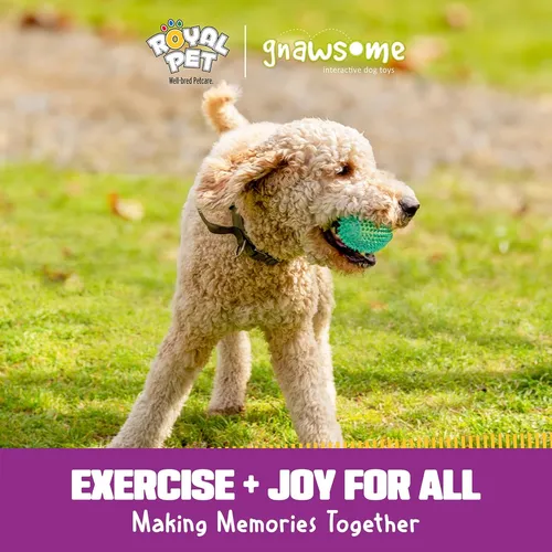 Gnawsome dog toys outlet