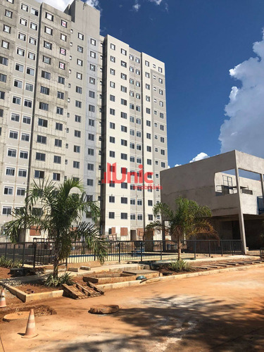 Imagem 9 de 9 de Palmeira Dourada - 16