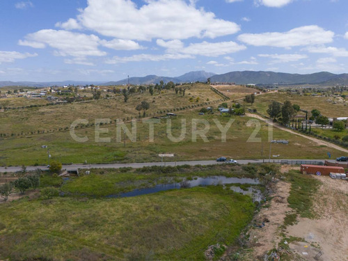 Terreno En Renta En El Valle De Guadalupe, Ensenada, Baja California