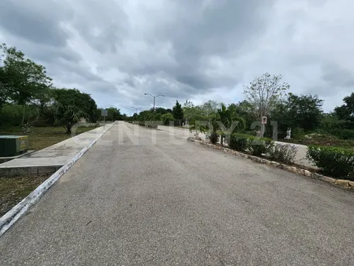 Residencia En Construcción, 1586 M2 De Terreno En Campo Bravo, Mérida, Yucatán.