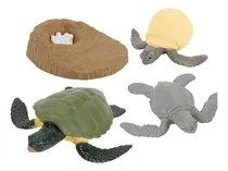 Comprar Material Tortuga Multicolor Tortuga Multicolor Tortuga