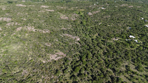 Campo En Venta En Nono, Los Algarrobos