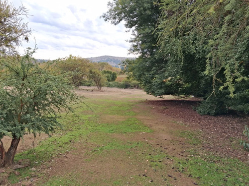 Oferta Parcela 5.000 Mt2, Talca (pencahue) Agua Y Luz