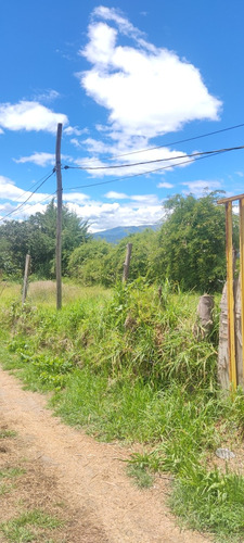 800 Metros De Terreno En Puembo