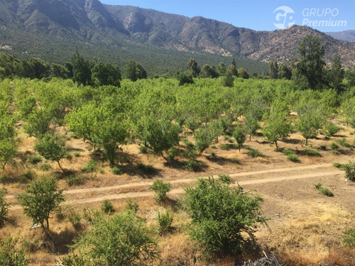 Parcela En Venta En Alhué 45,26 Ha