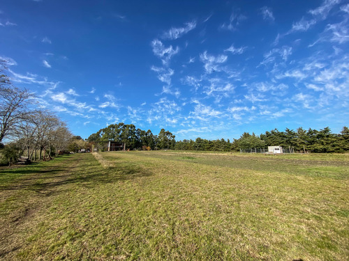 Imagen 9 de 14 de Lotes En Venta, 10.400 M2 Con Construcción Y Pileta. Tandil