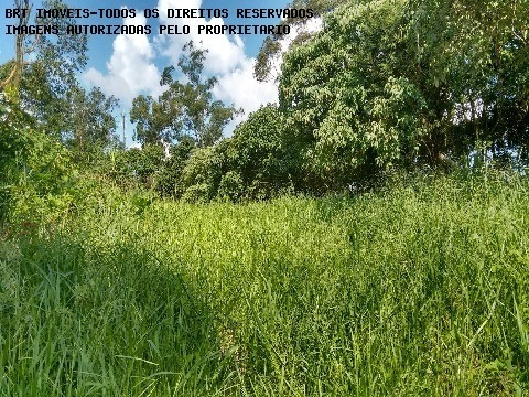 Imagem 5 de 5 de Terreno - Te00035 - 2512240