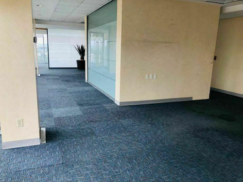 Imagen 9 de 14 de Oficinas Acondicionadas En Renta Providencia 1a Secc
