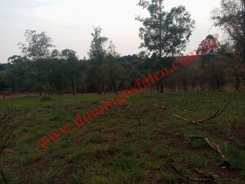 Imagem 17 de 19 de Venda - Chácara - Colina Santa Izabel (tupi) - Piracicaba - Sp - D0440