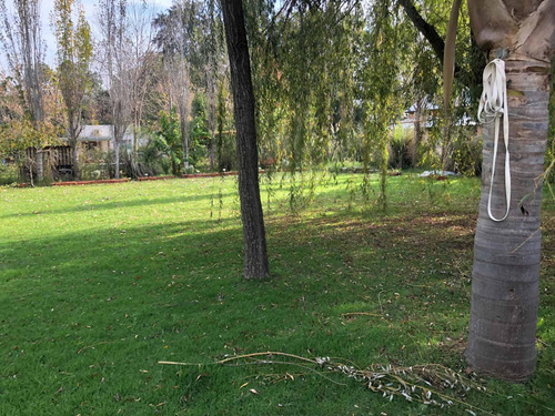 Imagen 29 de 30 de Excelente Casa Quinta Parque Gorriti Quincho Piscina 250 Mts Cub