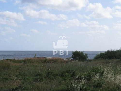 Imagen 5 de 7 de Terreno En Venta Punta Ballena - Ref : Pbi975