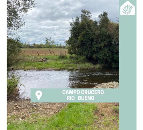 Campo  Río Bueno- Crucero 9,1 Ha. - Rio Sur Corretajes