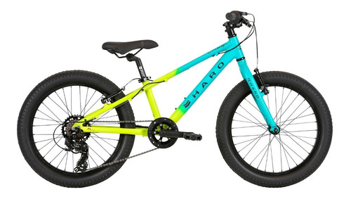 Bicicleta Haro Flightline Rodado 20 Plus - 7 Velocidades