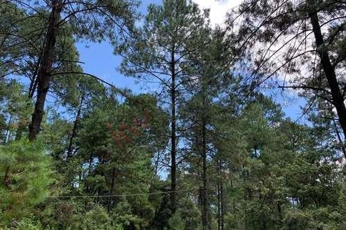 Imagen 11 de 22 de Venta De Terreno En Valle De Bravo Con Desarrollo De Rancho