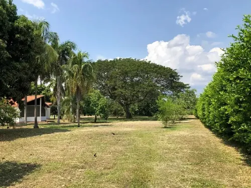 Casa Campestre En Venta En Peñalisa. Cod V16710