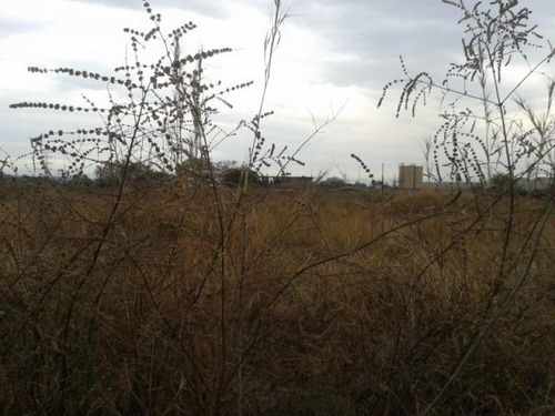 Imagen 3 de 8 de Terreno En Cuautlixco Oct-0050