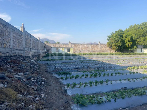 En Venta Terrenos En Itzamatitlán, A 10 Min. De Caseta De Oacalco, Morelos