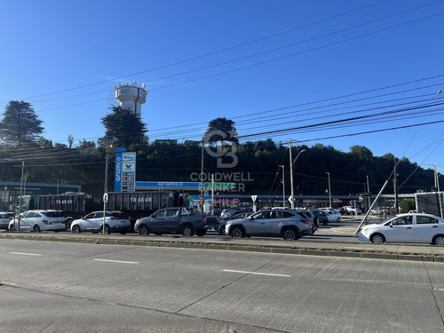 Atención Empresas/residencia Trabajadores En Faena/p.m
